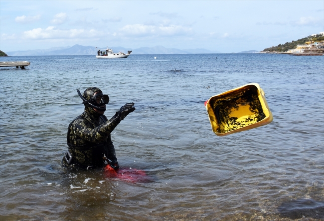 Bodrum'da deniz dibi ve kıyı temizliği